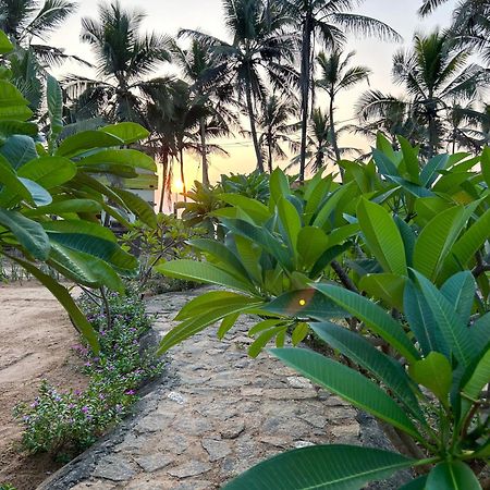 Bed and Breakfast Santa Maria, Trivandrum - An Airport Boutique By The Sea Thiruvananthapuram Exteriér fotografie