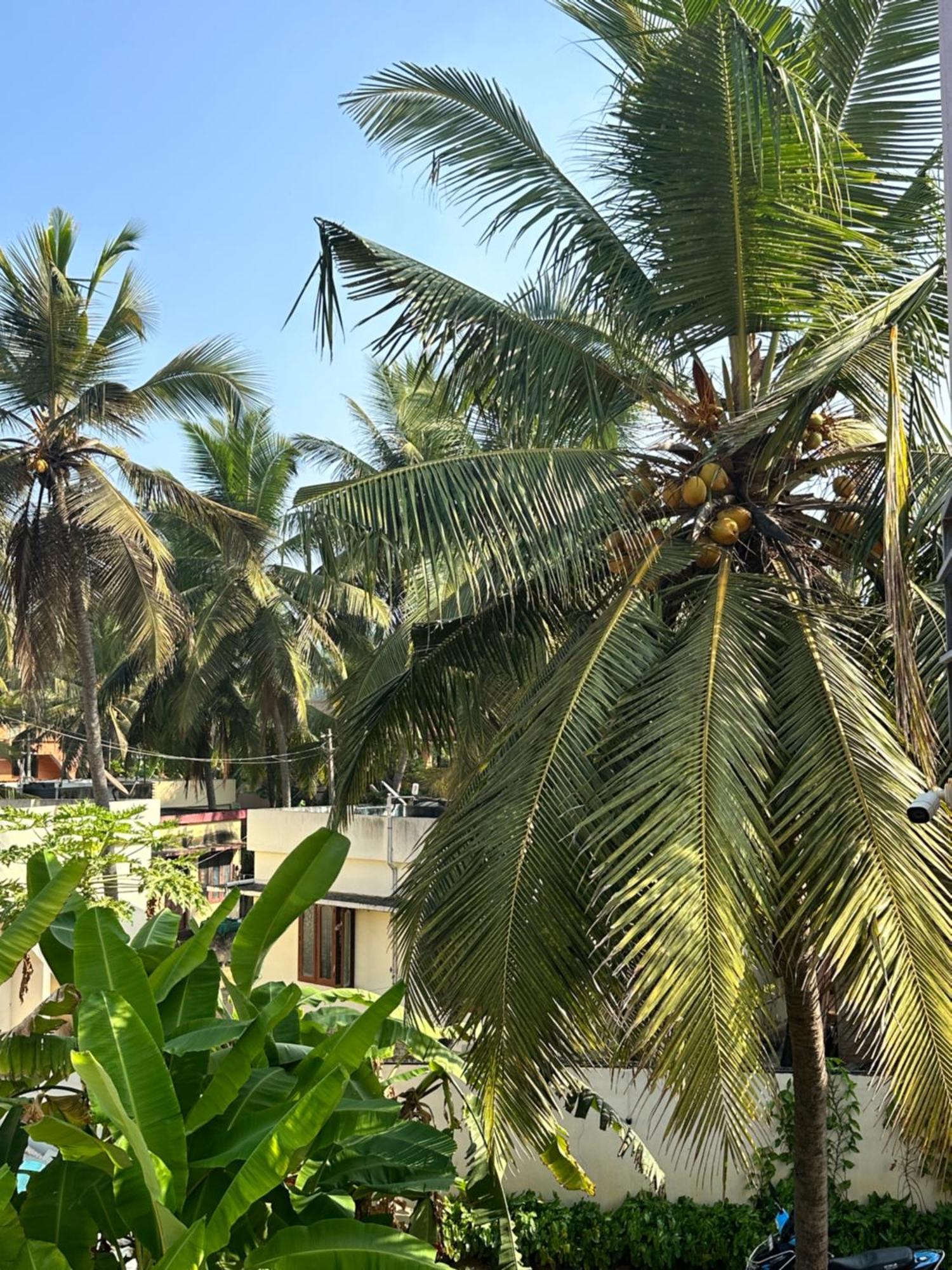 Bed and Breakfast Santa Maria, Trivandrum - An Airport Boutique By The Sea Thiruvananthapuram Exteriér fotografie